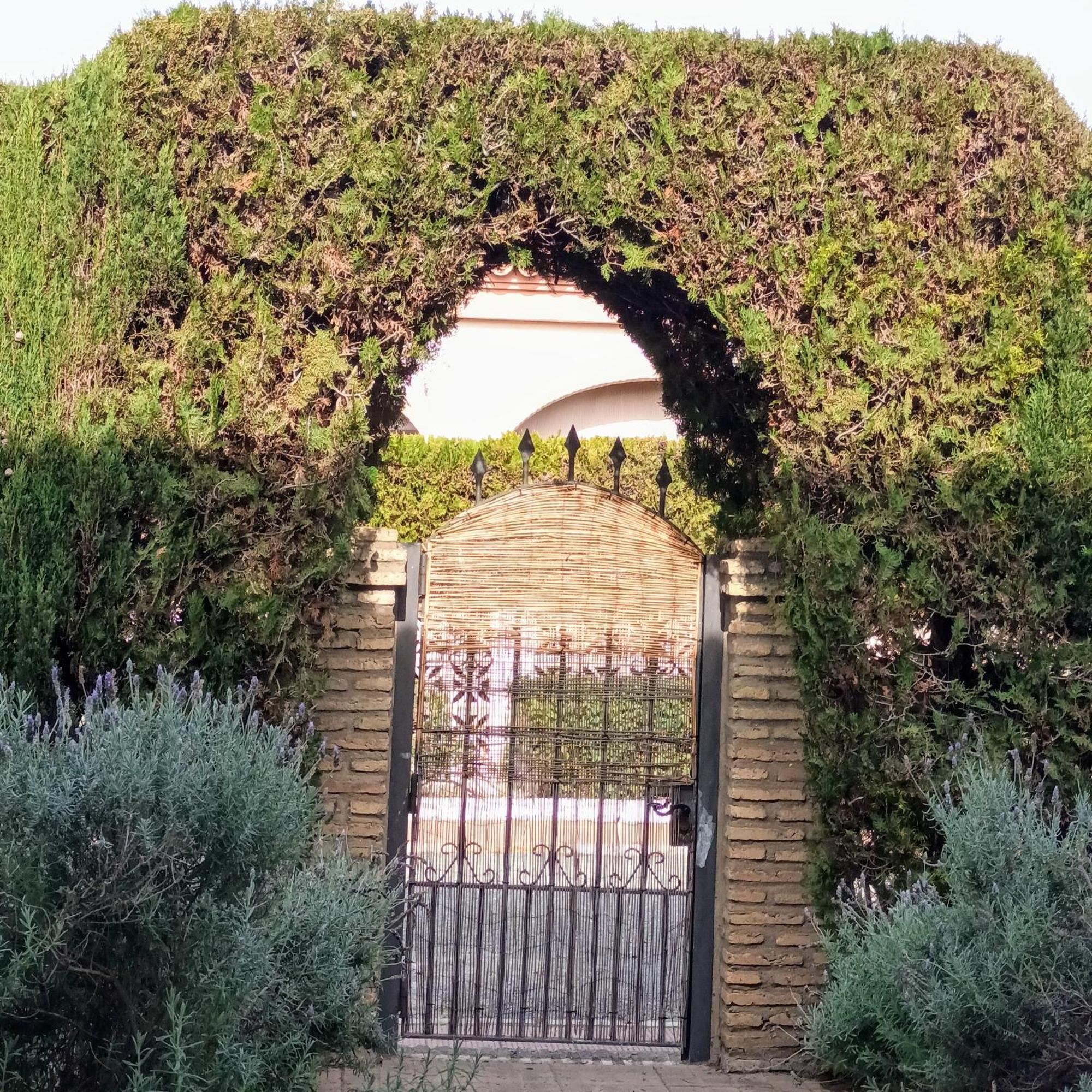 Hispalis Villa En Matalascañas Buitenkant foto